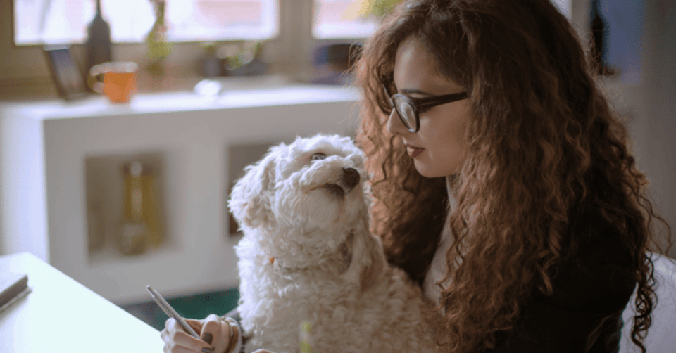 6 Reasons Small Businesses Love Nitro